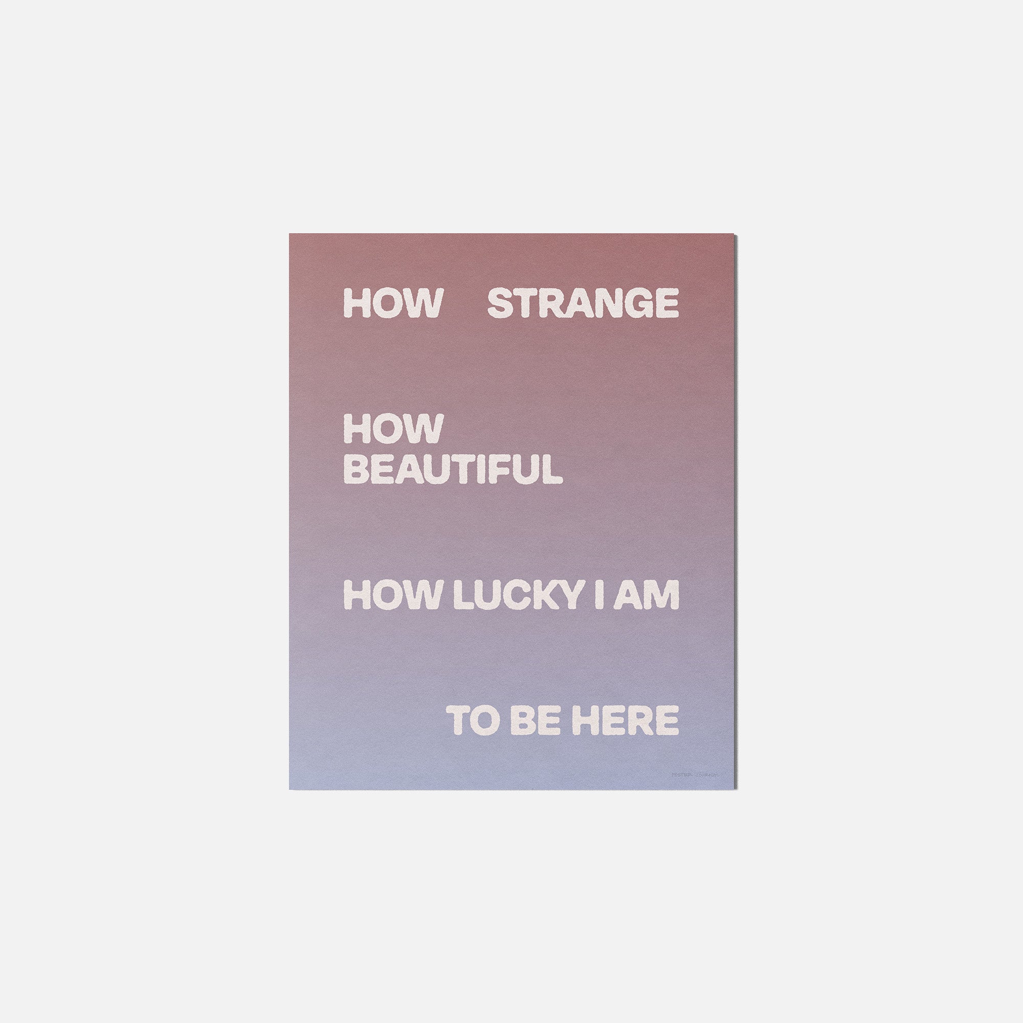 LUCKY PRINT